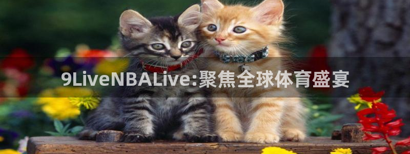 球探比分即时足球比分捷报 手机官