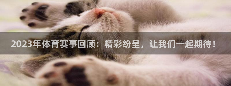 捷报比分篮球直播