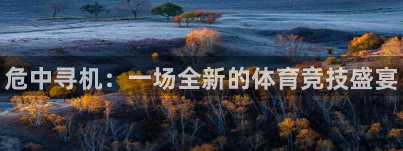 捷报球比分网即时比分：危中寻机：一场全新